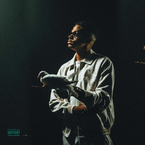 Read more about the article Ricky $tar – Falsos Abraços