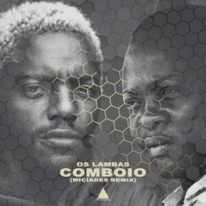 Read more about the article Os Lambas – Comboio II
