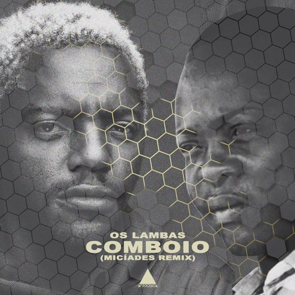 Read more about the article Os Lambas – Comboio II