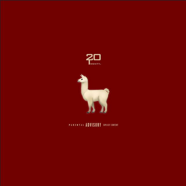 Read more about the article Twenty20 – Lã de Vicunha