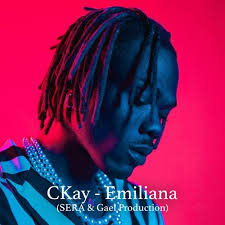 Read more about the article Ckay – Emiliana
